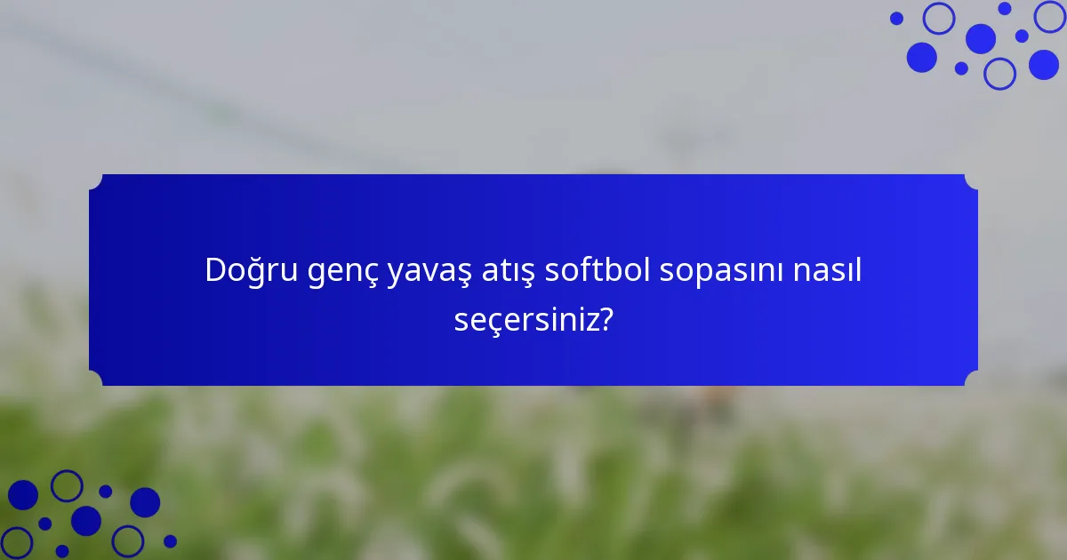 Doğru genç yavaş atış softbol sopasını nasıl seçersiniz?