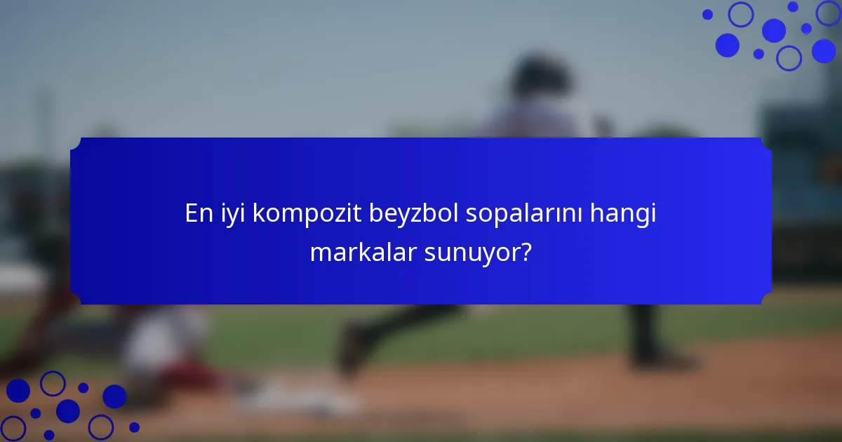 En iyi kompozit beyzbol sopalarını hangi markalar sunuyor?