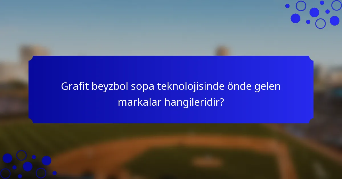 Grafit beyzbol sopa teknolojisinde önde gelen markalar hangileridir?