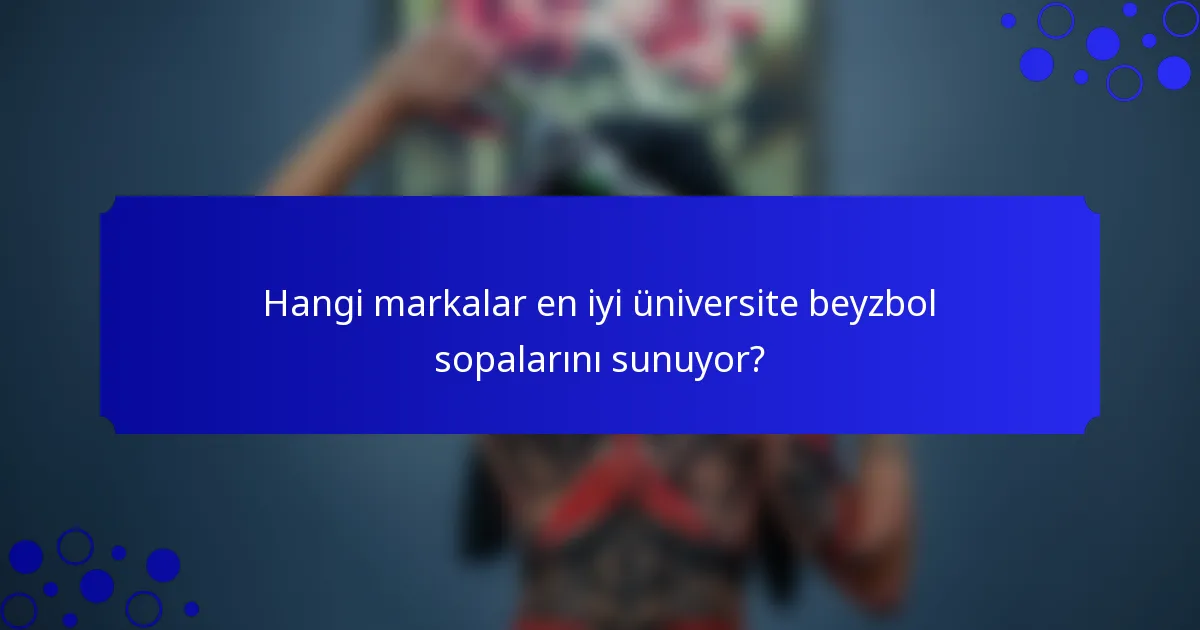 Hangi markalar en iyi üniversite beyzbol sopalarını sunuyor?