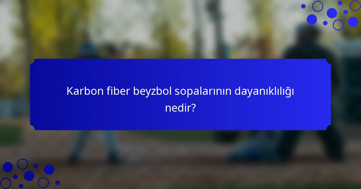Karbon fiber beyzbol sopalarının dayanıklılığı nedir?