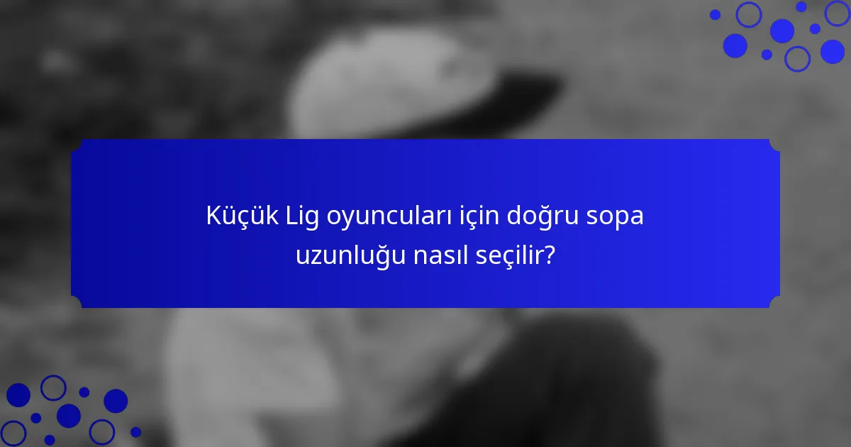 Küçük Lig oyuncuları için doğru sopa uzunluğu nasıl seçilir?